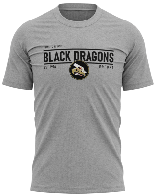 T-Shirt | unisex | fire on ice | heather grey | Black Dragons