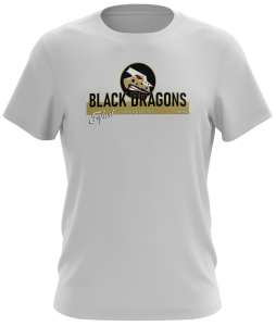 T-Shirt | unisex | Hockeytown 3 | weiß | Black Dragons